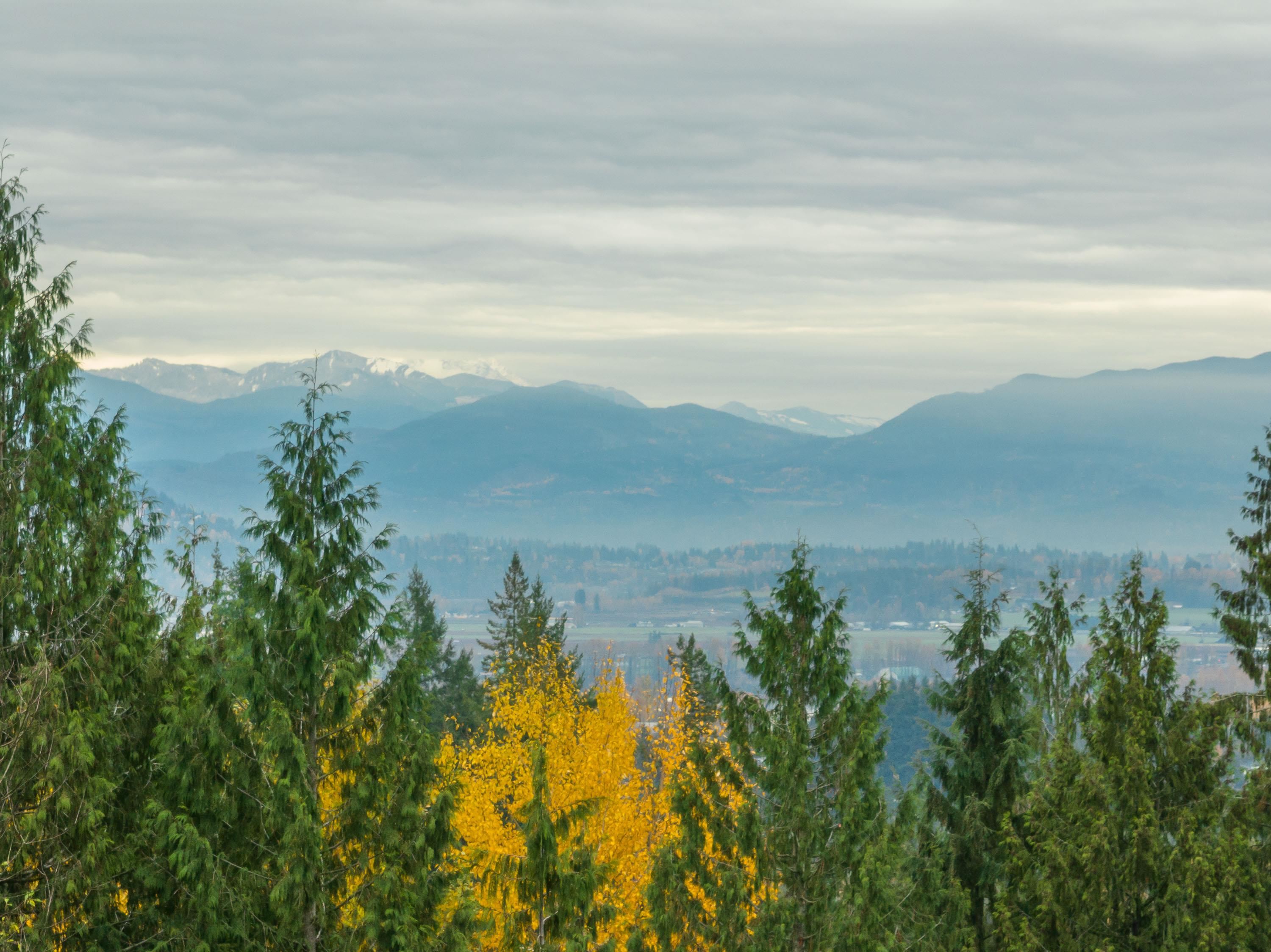 31730 Viewcrest Ave Mission For Sale, R2832094