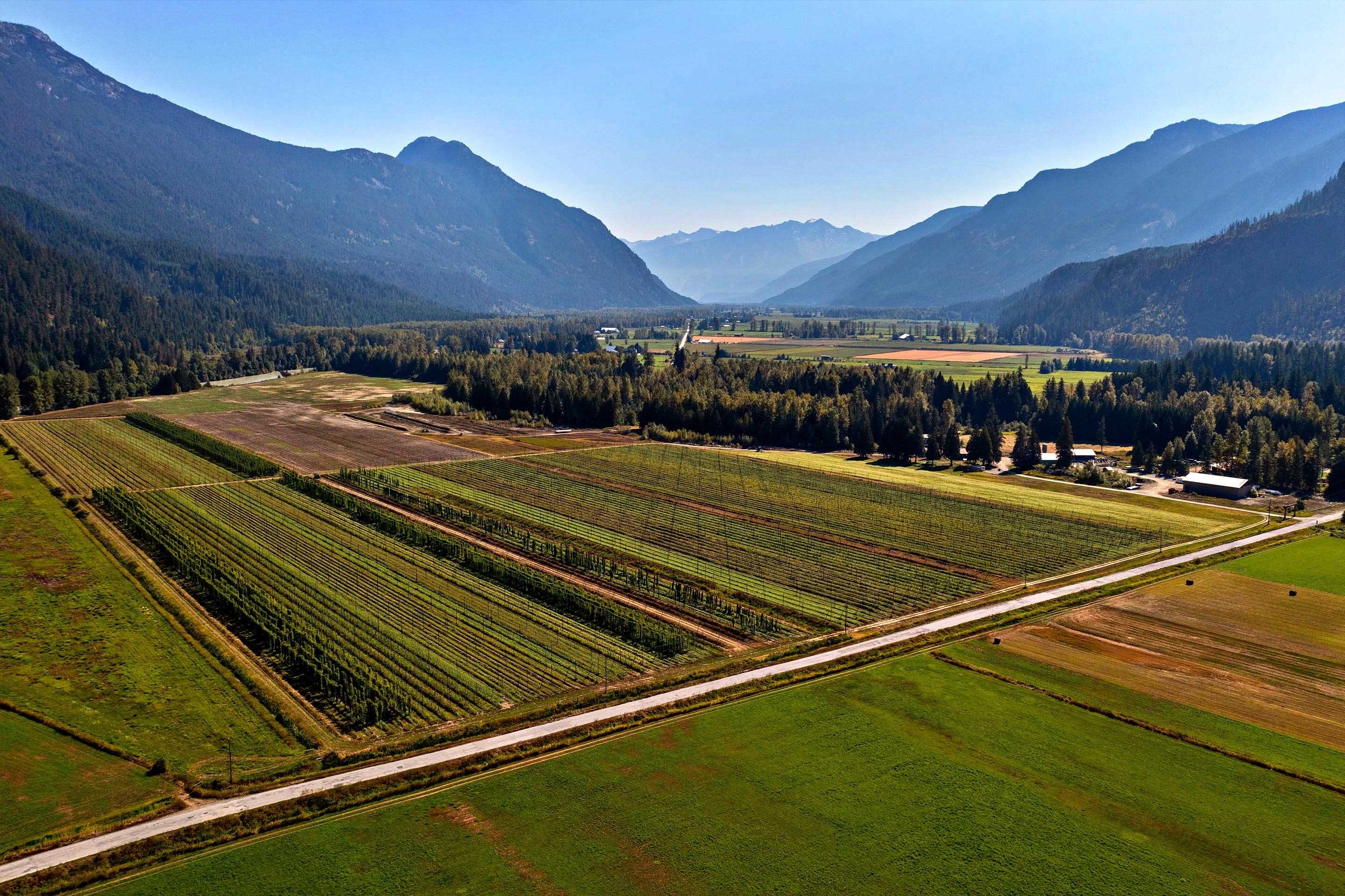 9310 UPPER LILLOOET RIVER FSR Pemberton Richard Morrison Vancouver Homes